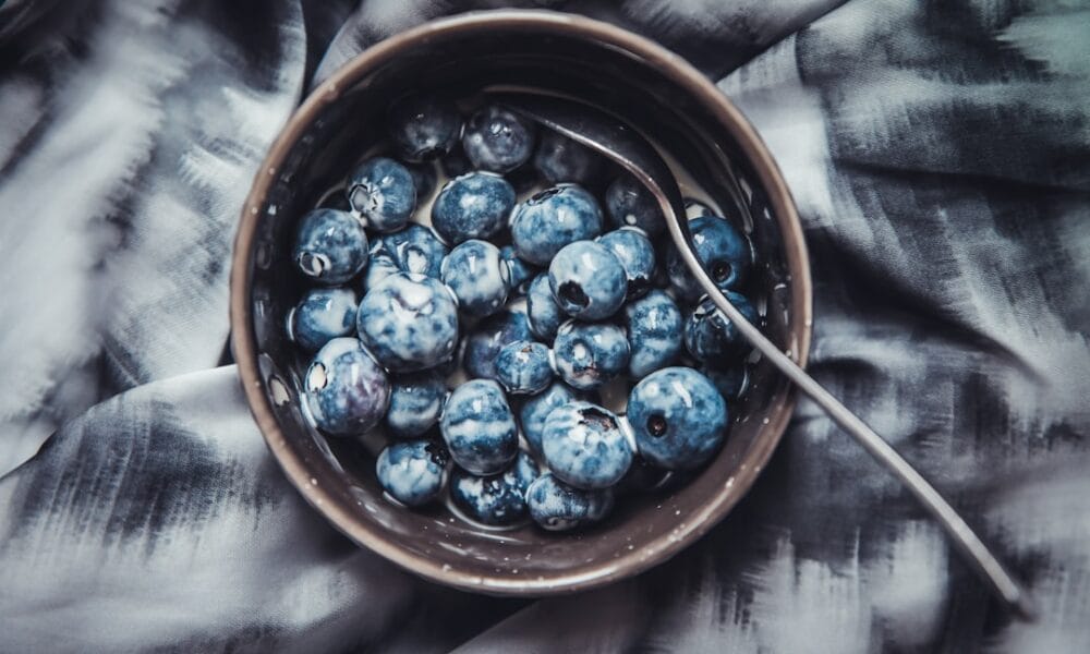 Photo Blueberries