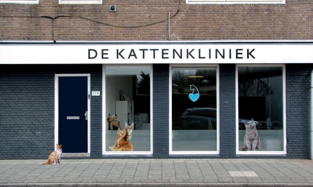 Photo Veterinary Clinic