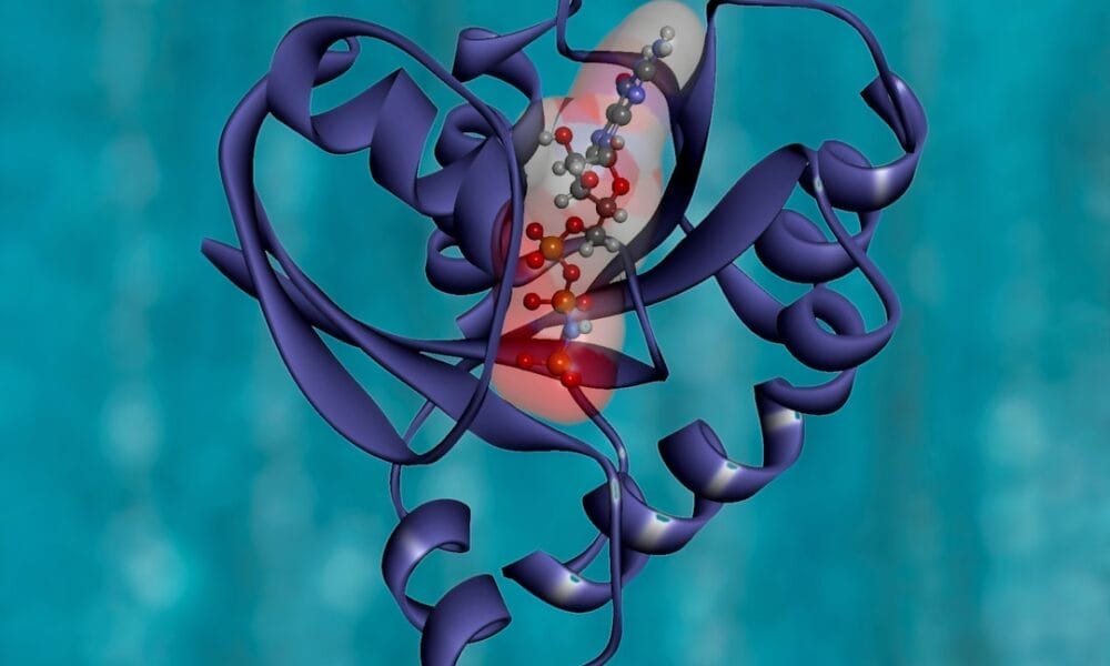 Photo Performance analysis