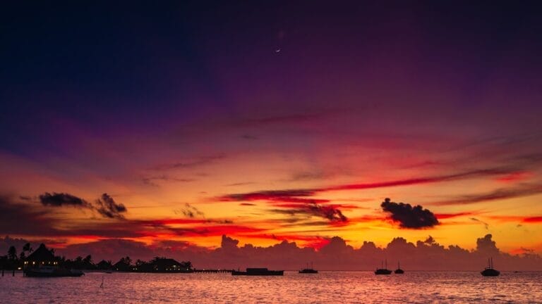 Photo Maldives - Coral Bleaching