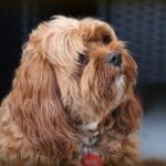 Photo Eco-friendly packing