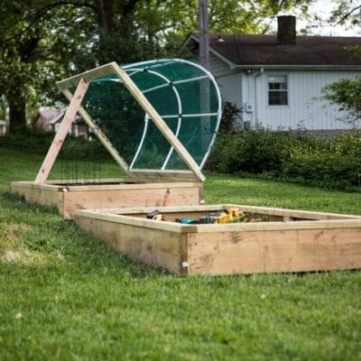 Photo Raised beds